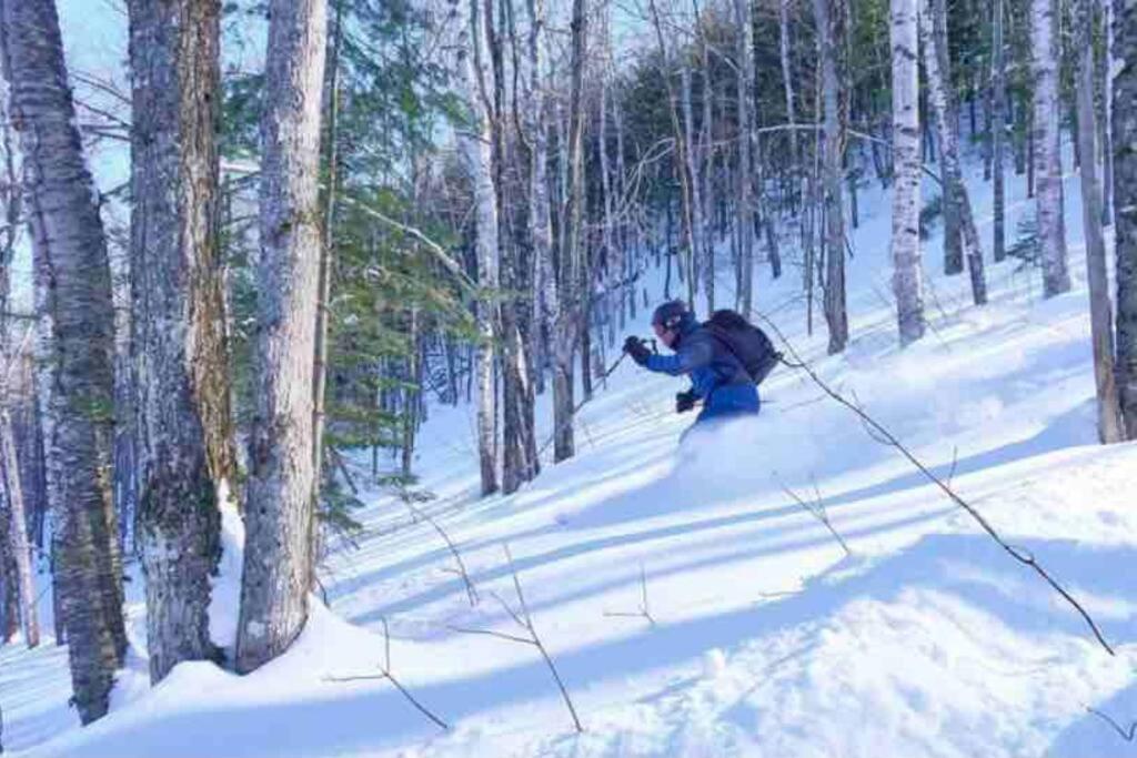 فيلا بلدية سان ألكسيس دي مونتفي Chalet Falaise By Chalets Nabu المظهر الخارجي الصورة