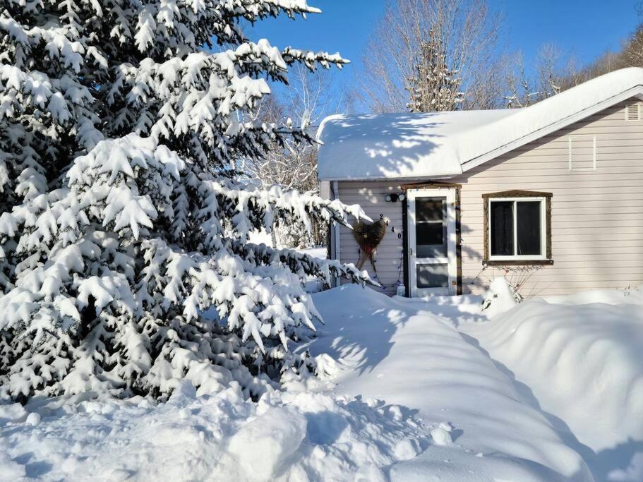 فيلا بلدية سان ألكسيس دي مونتفي Chalet Falaise By Chalets Nabu المظهر الخارجي الصورة