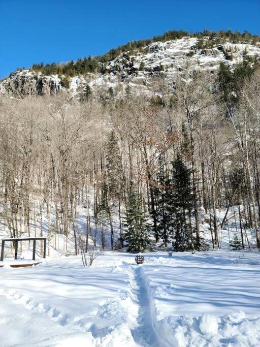 فيلا بلدية سان ألكسيس دي مونتفي Chalet Falaise By Chalets Nabu المظهر الخارجي الصورة