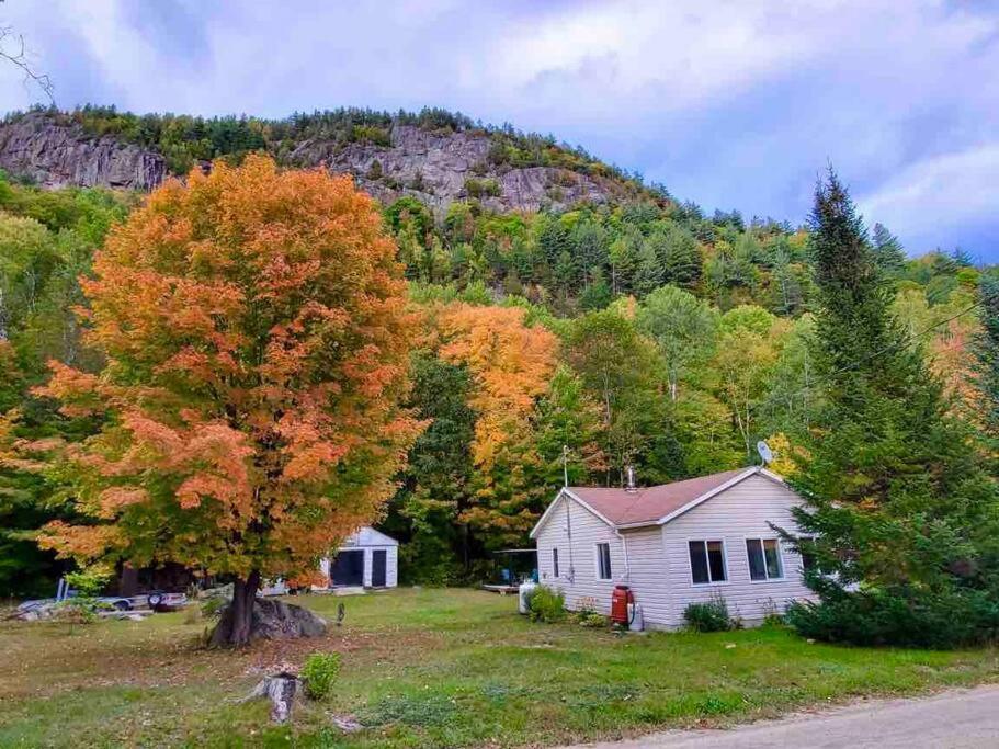 فيلا بلدية سان ألكسيس دي مونتفي Chalet Falaise By Chalets Nabu المظهر الخارجي الصورة