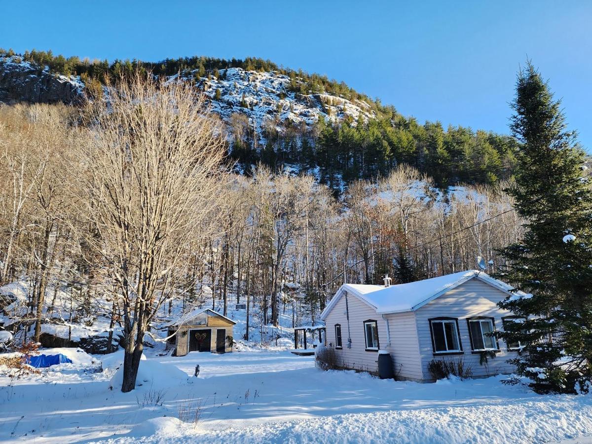 فيلا بلدية سان ألكسيس دي مونتفي Chalet Falaise By Chalets Nabu المظهر الخارجي الصورة